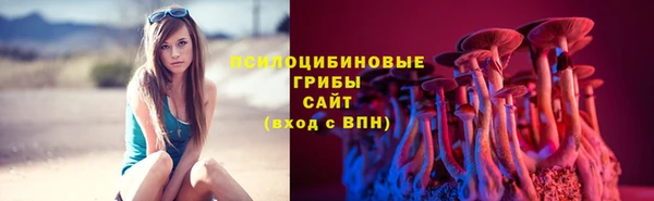 2c-b Лихославль