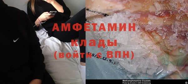 ПСИЛОЦИБИНОВЫЕ ГРИБЫ Абаза